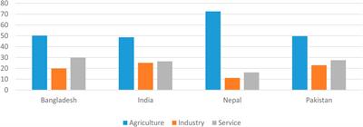 Socio-Economic Implications of COVID-19 Pandemic in South Asia: Emerging Risks and Growing Challenges